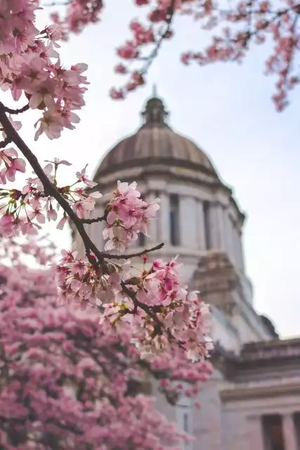 Who gets the last payments for the last week of June? New SNAP Food Stamps and Disability payments are coming in