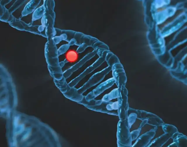 Tempus Beats Estimates with Strong Oncology Diagnostics Growth
